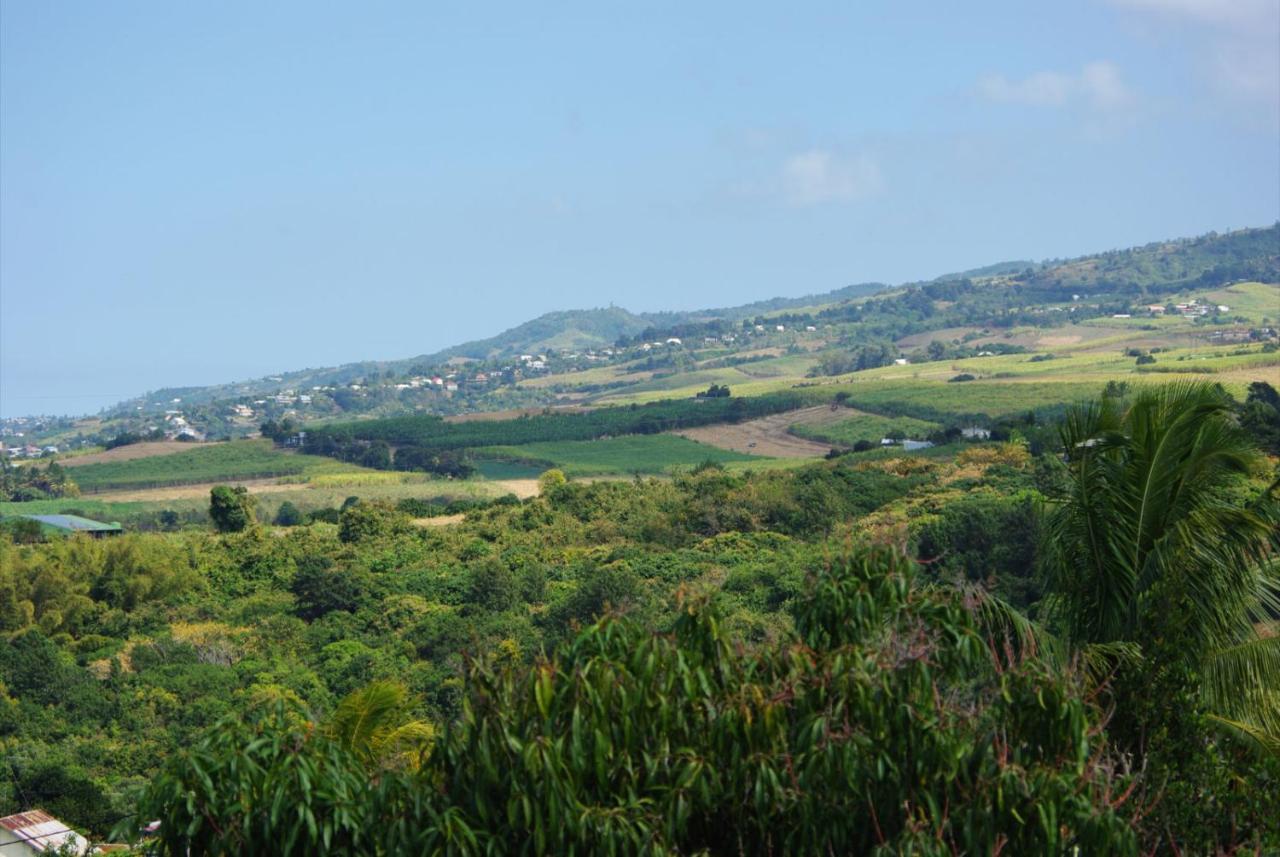 Capucine Les Hauts Riviere Saint-Louis Eksteriør bilde
